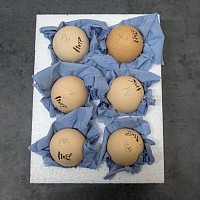 Eggs