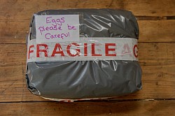 Parcel