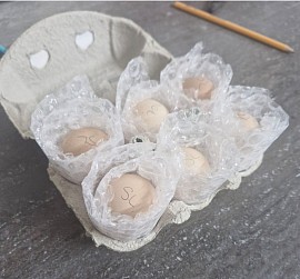 Eggs